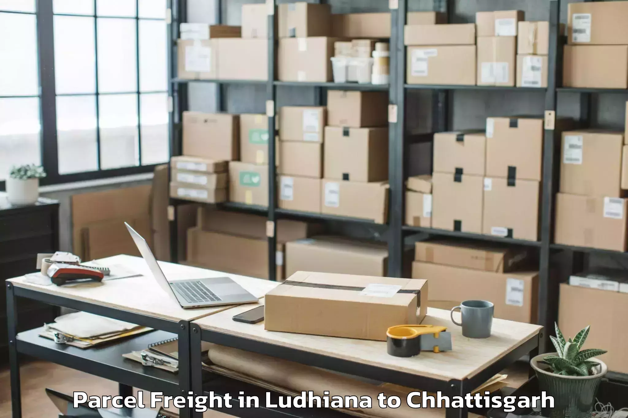 Affordable Ludhiana to Pandit Ravishankar Shukla Univ Parcel Freight